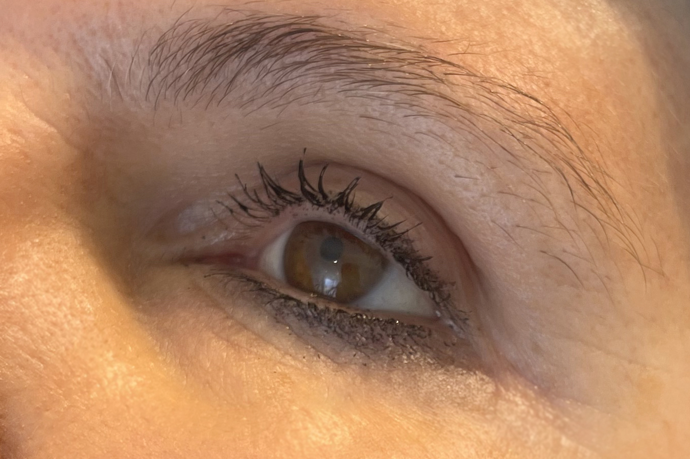 Sourcils poil à poil avant