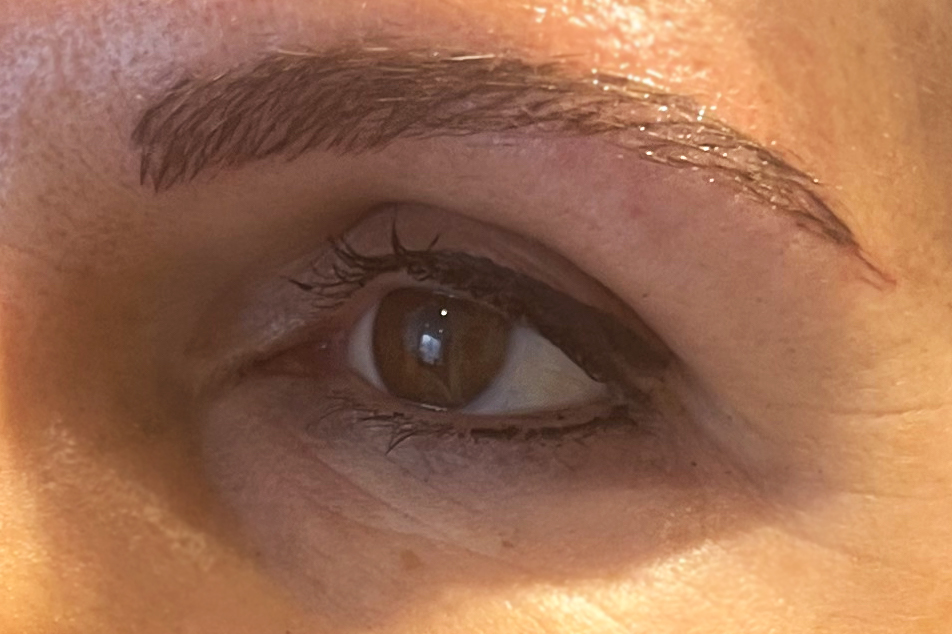 Sourcils poil à poil après