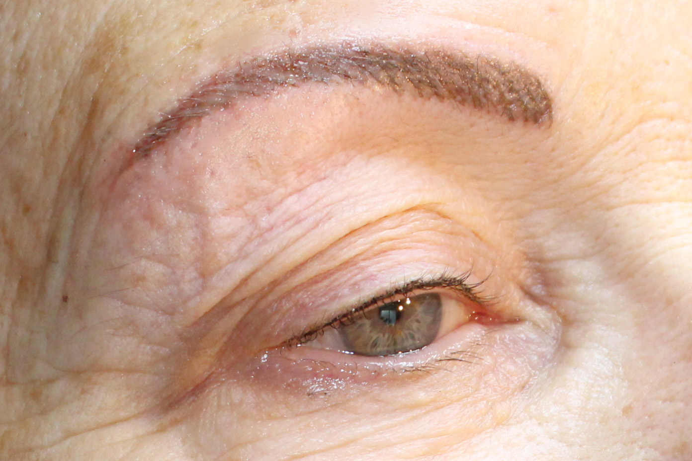 Sourcils de Hybrid après