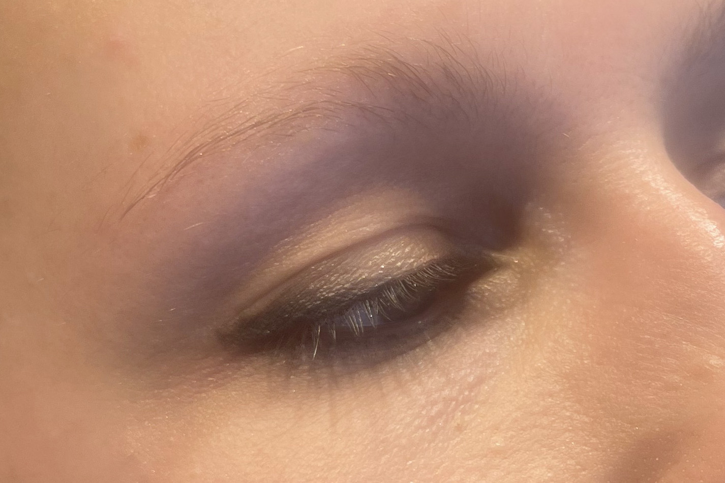 Sourcils avant dermopigmentation