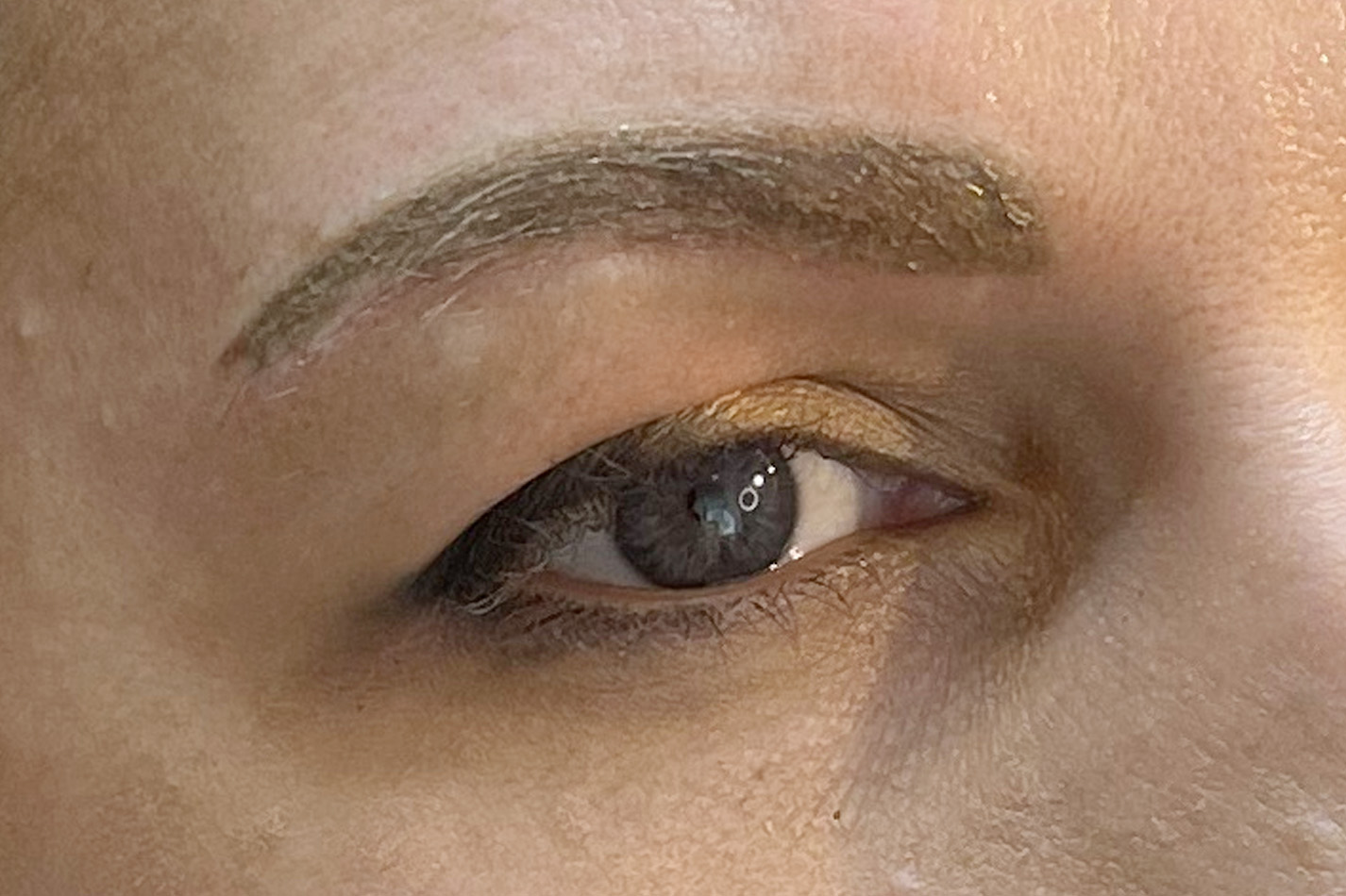 Sourcils après dermopigmentation Powder Brow