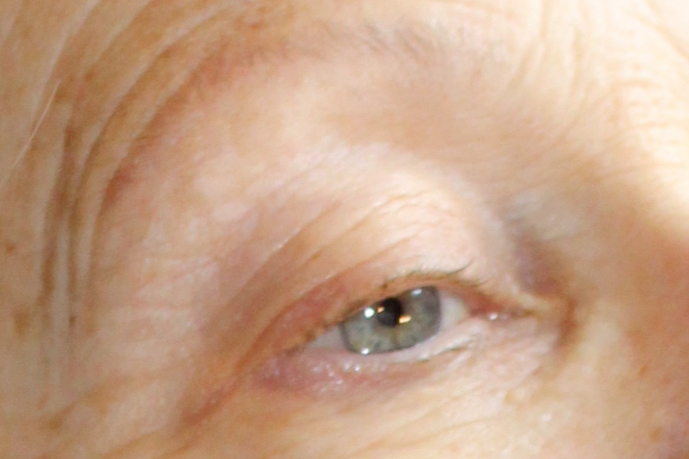 Sourcils de Hybrid avant
