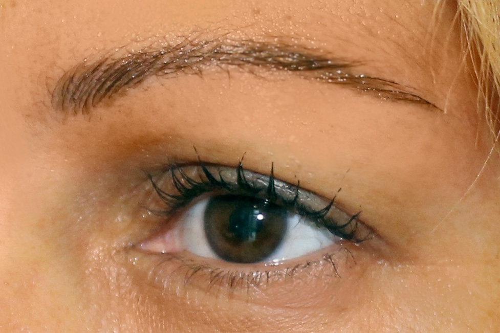 Sourcil après être étoffé